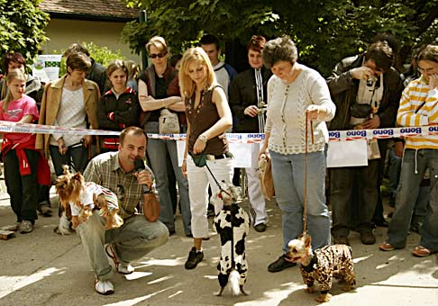Psie modelky na módnej prehliadke, počas akcie Pes Sympaťák 2006.